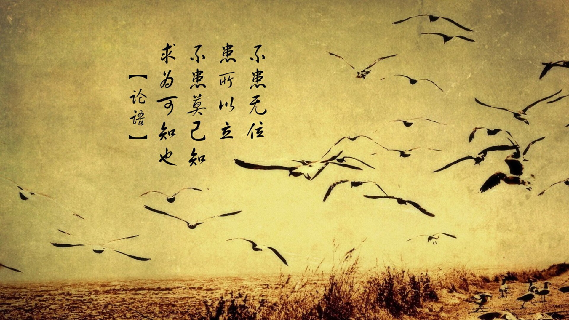 摩洛哥骑手阿米尔·本·哈桑在2024年巴黎奥运会三项赛中以“Courage”马匹获得第20名，表现出色。