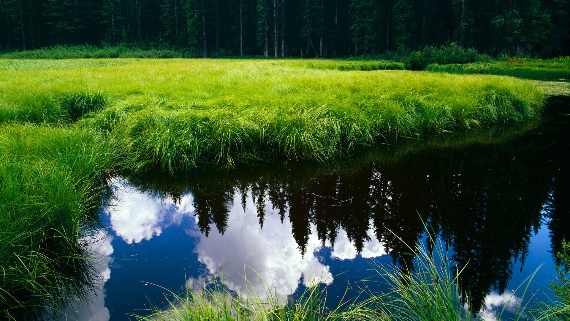 爱游戏官方主页-斯图加特中后卫归队，后防线迎来稳固时刻，斯图加特左后卫
